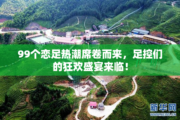 99个恋足热潮席卷而来，足控们的狂欢盛宴来临！