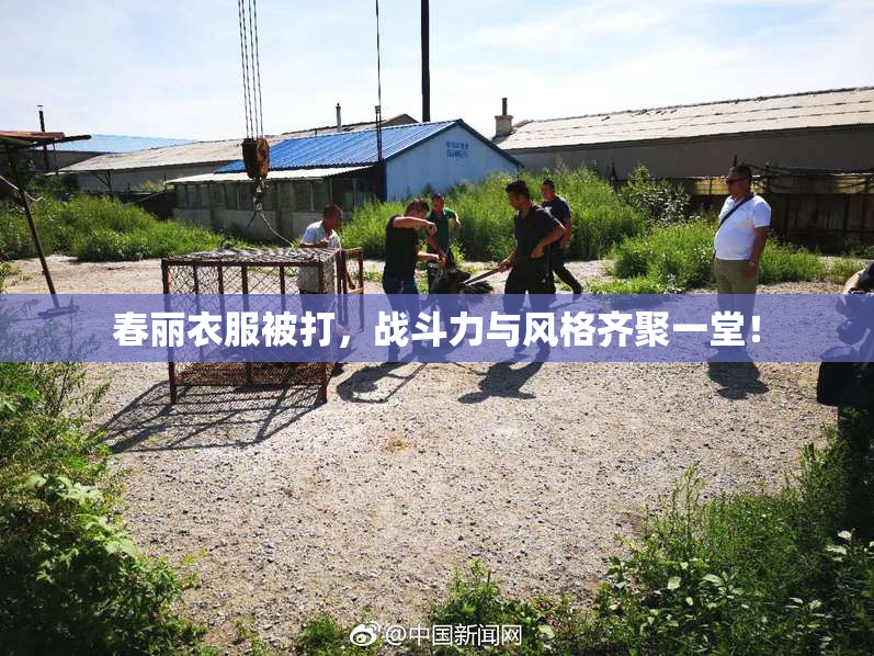 春丽衣服被打，战斗力与风格齐聚一堂！