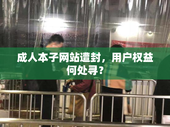 成人本子网站遭封，用户权益何处寻？