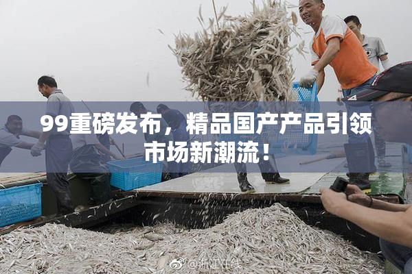 99重磅发布，精品国产产品引领市场新潮流！