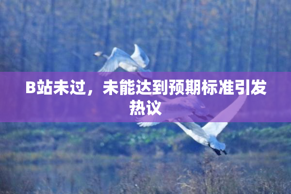 B站未过，未能达到预期标准引发热议