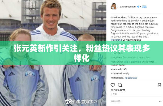 张元英新作引关注，粉丝热议其表现多样化