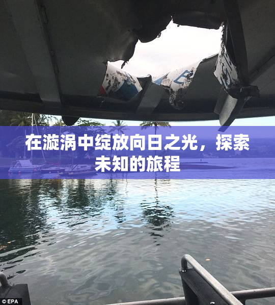 在漩涡中绽放向日之光，探索未知的旅程