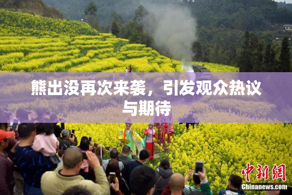 熊出没再次来袭，引发观众热议与期待