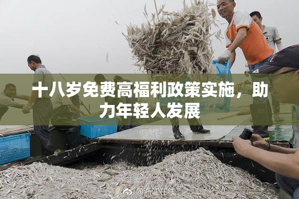 十八岁免费高福利政策实施，助力年轻人发展