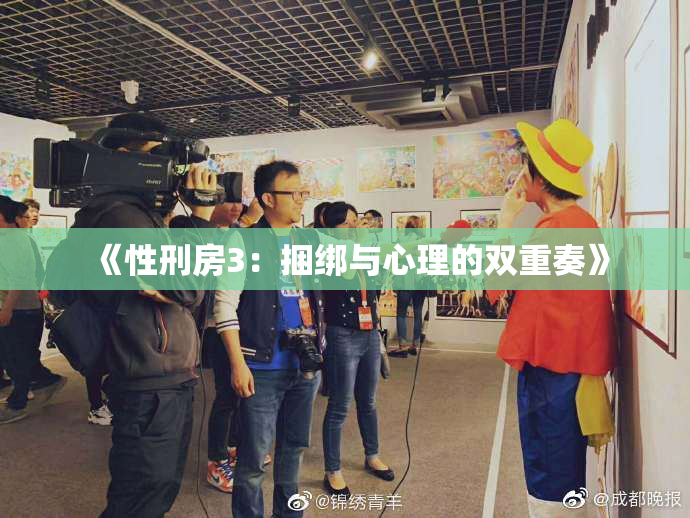 《性刑房3：捆绑与心理的双重奏》