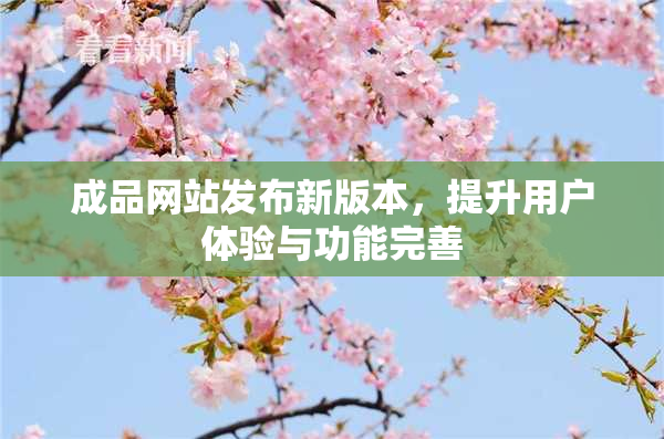 成品网站发布新版本，提升用户体验与功能完善