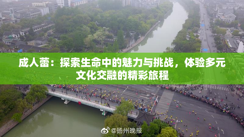 成人蕾：探索生命中的魅力与挑战，体验多元文化交融的精彩旅程