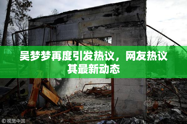 吴梦梦再度引发热议，网友热议其最新动态
