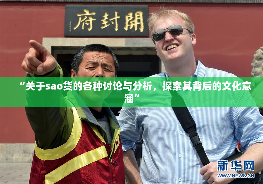 “关于sao货的各种讨论与分析，探索其背后的文化意涵”