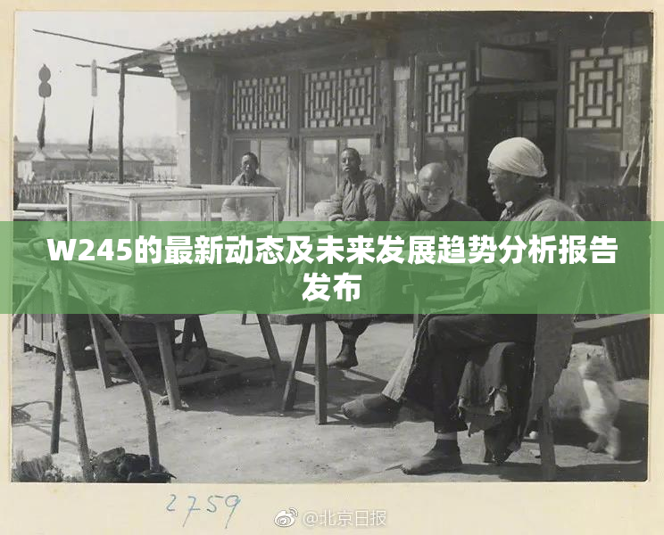 W245的最新动态及未来发展趋势分析报告发布