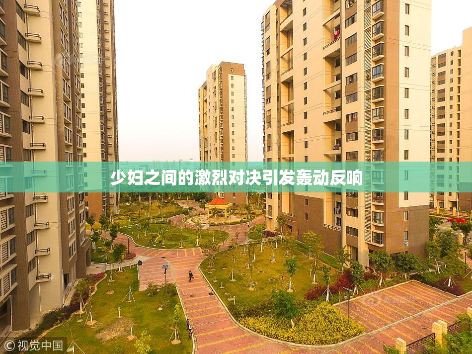 少妇之间的激烈对决引发轰动反响
