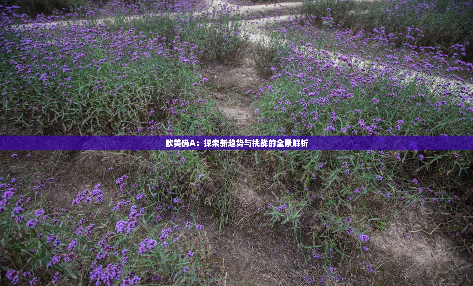 欧美码A：探索新趋势与挑战的全景解析