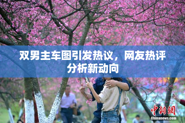 双男主车图引发热议，网友热评分析新动向