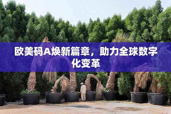 欧美码A焕新篇章，助力全球数字化变革