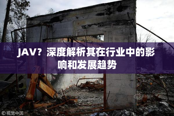 JAV？深度解析其在行业中的影响和发展趋势
