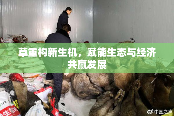 草重构新生机，赋能生态与经济共赢发展