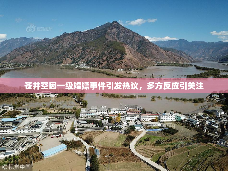 苍井空因一级娼嫖事件引发热议，多方反应引关注