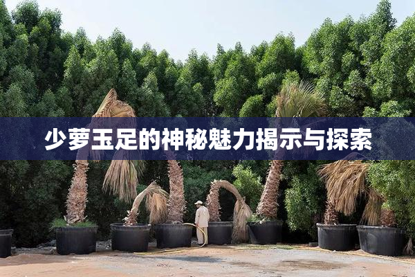 少萝玉足的神秘魅力揭示与探索