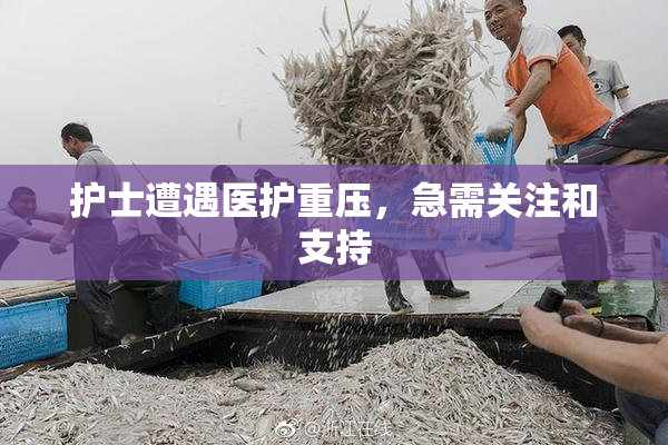 护士遭遇医护重压，急需关注和支持