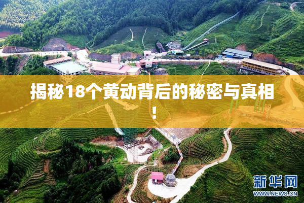 揭秘18个黄动背后的秘密与真相！