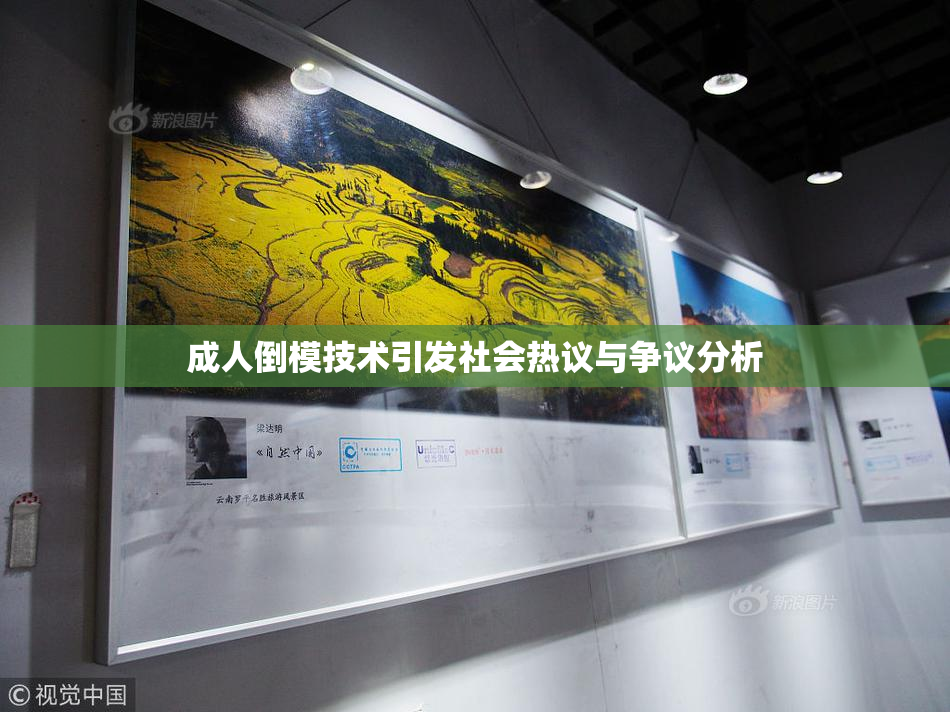 成人倒模技术引发社会热议与争议分析