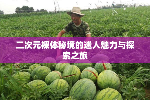 二次元裸体秘境的迷人魅力与探索之旅