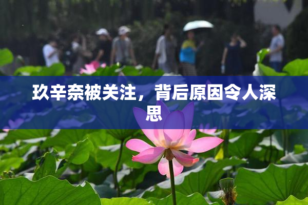 玖辛奈被关注，背后原因令人深思