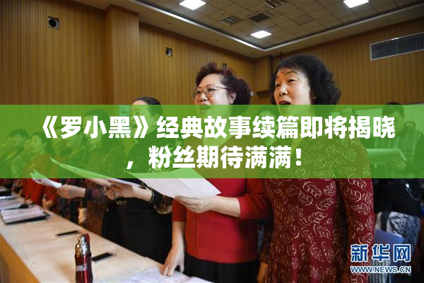 《罗小黑》经典故事续篇即将揭晓，粉丝期待满满！