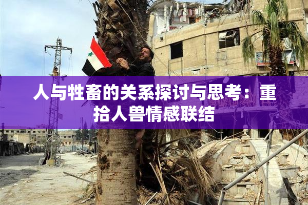 人与牲畜的关系探讨与思考：重拾人兽情感联结