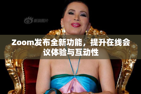 Zoom发布全新功能，提升在线会议体验与互动性