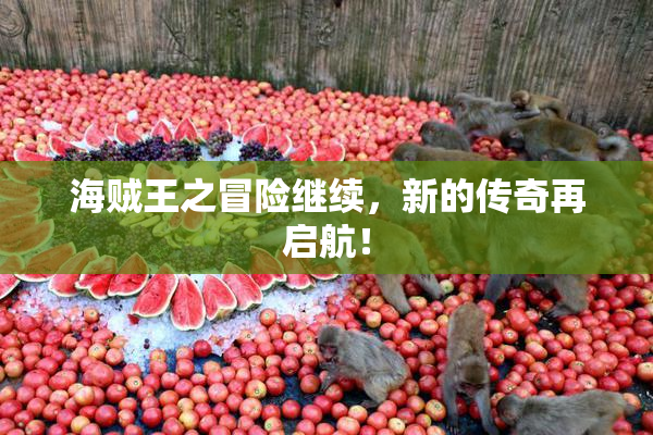 海贼王之冒险继续，新的传奇再启航！