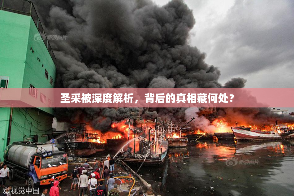圣采被深度解析，背后的真相藏何处？