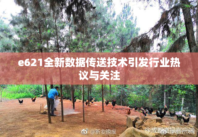 e621全新数据传送技术引发行业热议与关注
