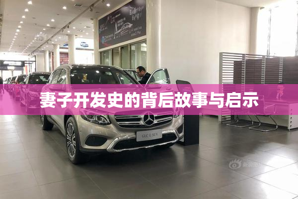 妻子开发史的背后故事与启示
