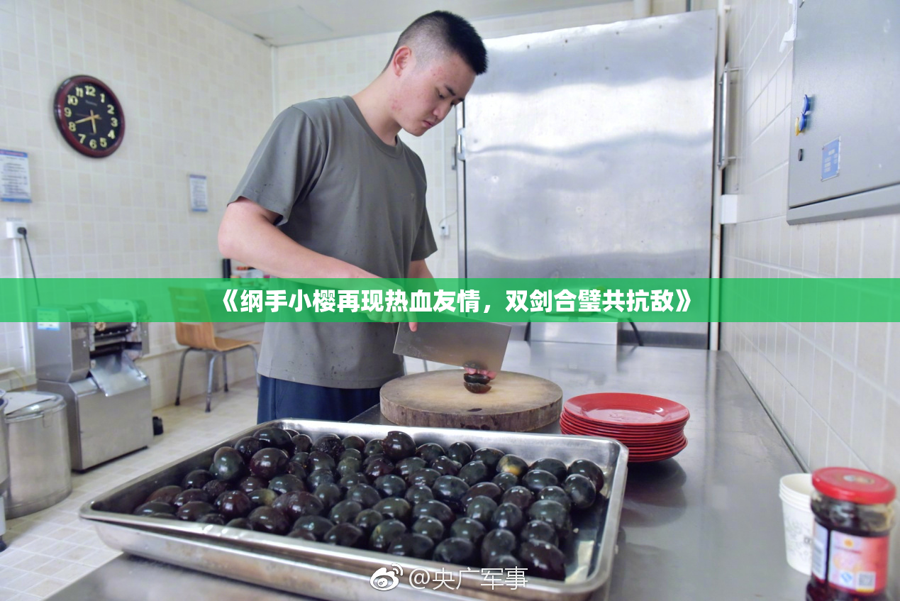 《纲手小樱再现热血友情，双剑合璧共抗敌》