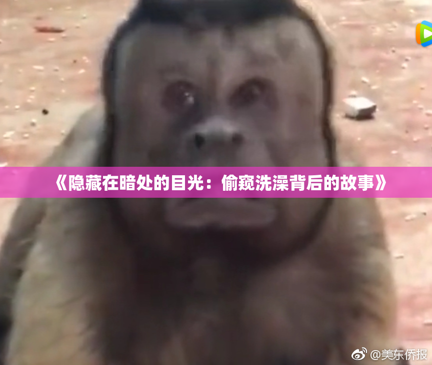 《隐藏在暗处的目光：偷窥洗澡背后的故事》