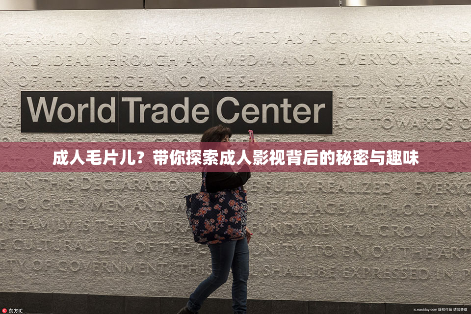 成人毛片儿？带你探索成人影视背后的秘密与趣味