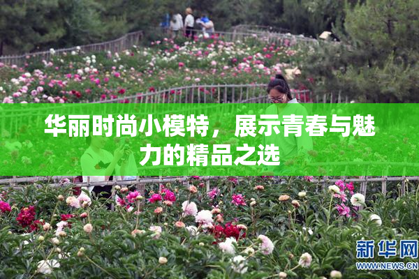 华丽时尚小模特，展示青春与魅力的精品之选