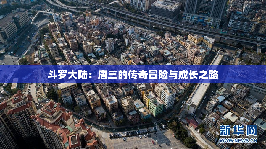 斗罗大陆：唐三的传奇冒险与成长之路