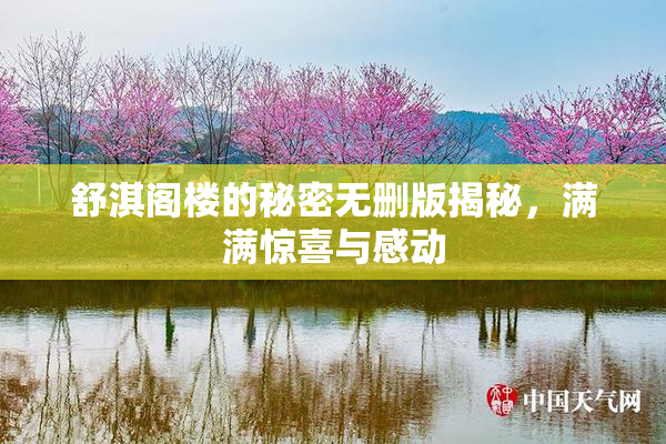 舒淇阁楼的秘密无删版揭秘，满满惊喜与感动