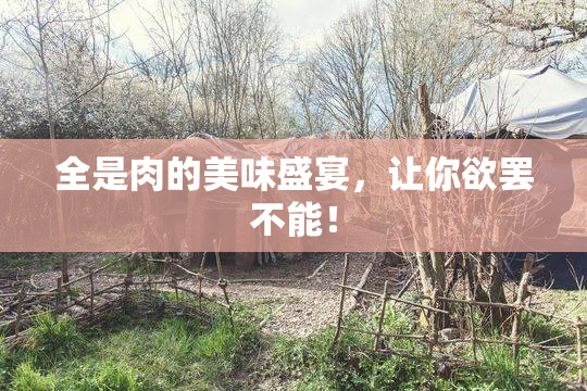 全是肉的美味盛宴，让你欲罢不能！