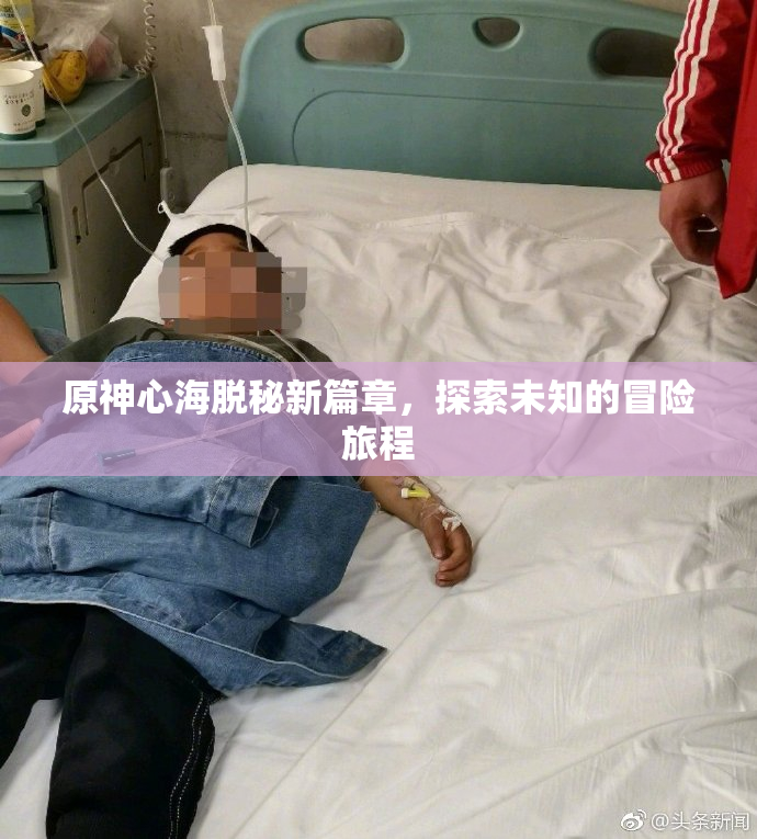 原神心海脱秘新篇章，探索未知的冒险旅程