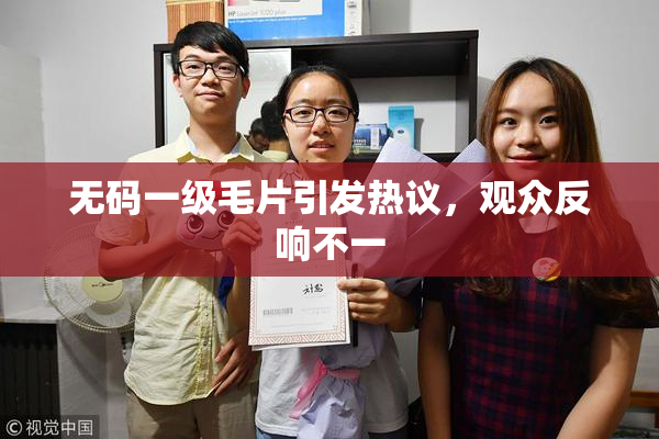 无码一级毛片引发热议，观众反响不一