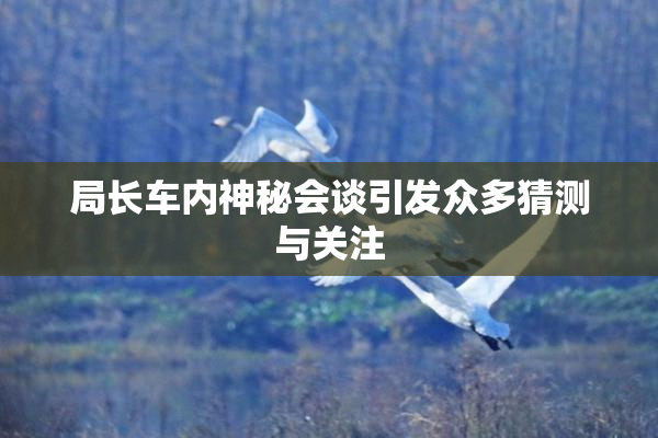 局长车内神秘会谈引发众多猜测与关注