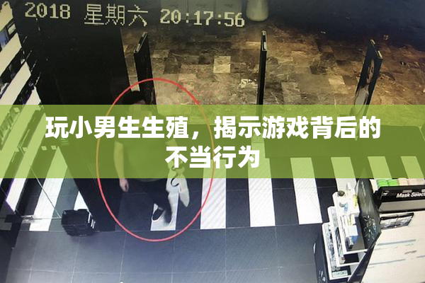 玩小男生生殖，揭示游戏背后的不当行为