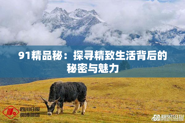 91精品秘：探寻精致生活背后的秘密与魅力