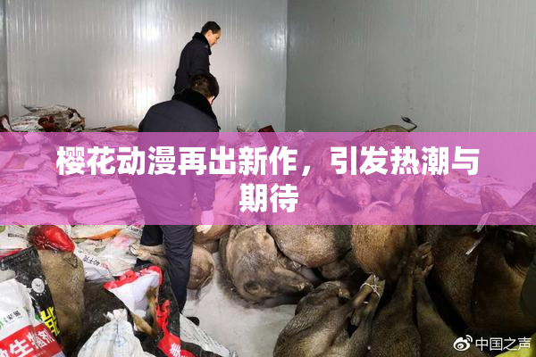 樱花动漫再出新作，引发热潮与期待