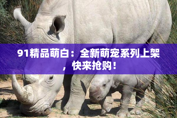 91精品萌白：全新萌宠系列上架，快来抢购！