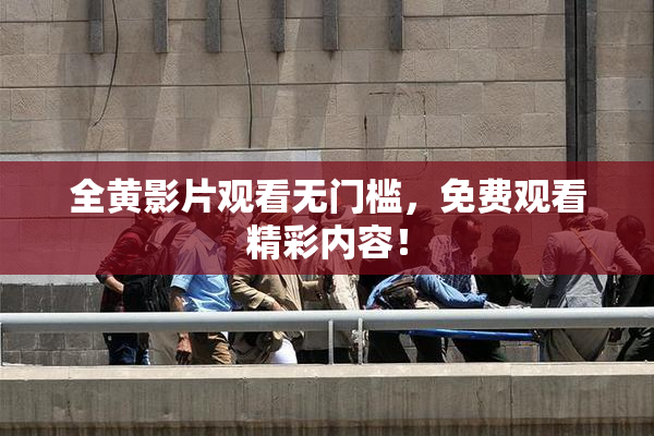 全黄影片观看无门槛，免费观看精彩内容！